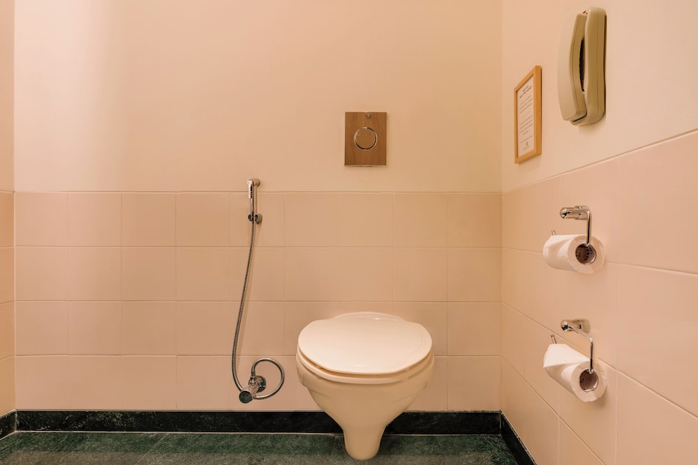 Red Fox Hotel Hitec City 33/33