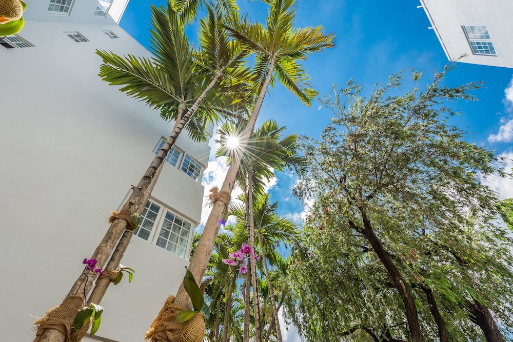 Hotel Belleza 3/50