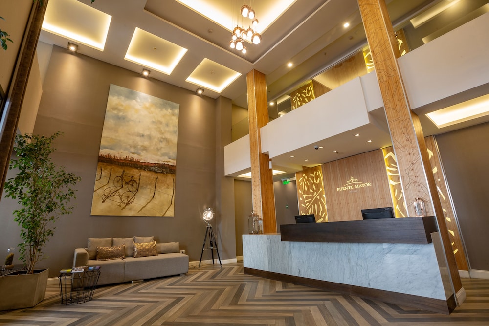 Fuente Mayor Hotel Ciudad de Mendoza 11/61