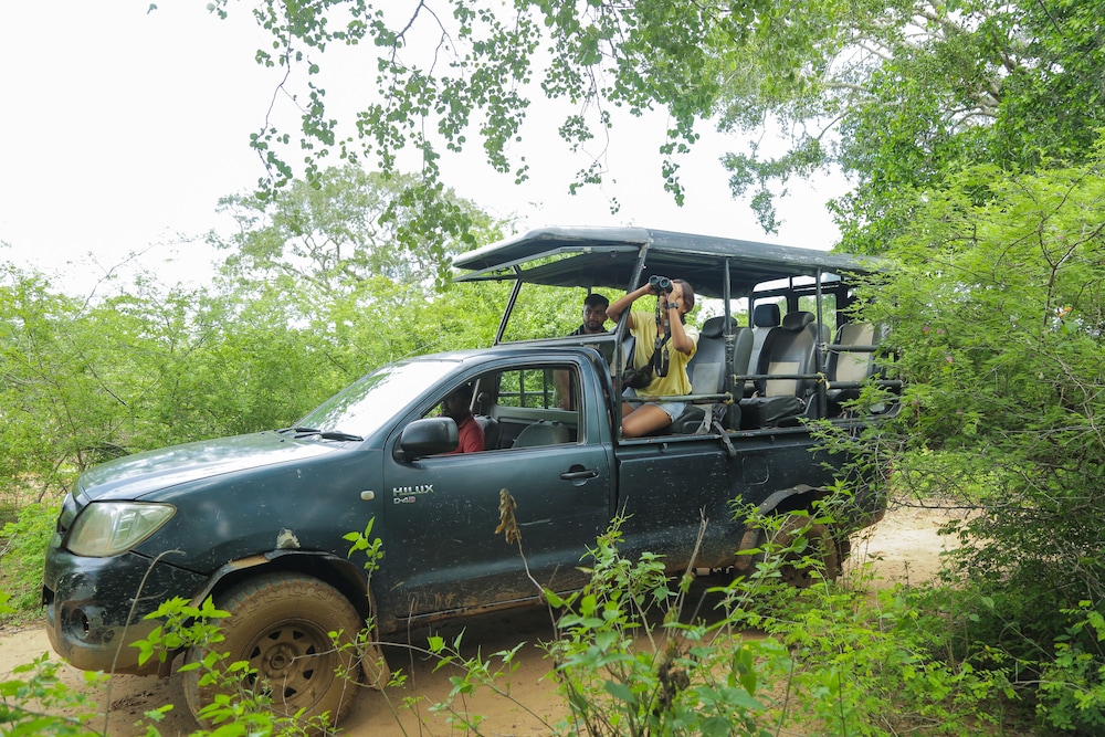 Leopard Nest Luxury Campsite 40/50
