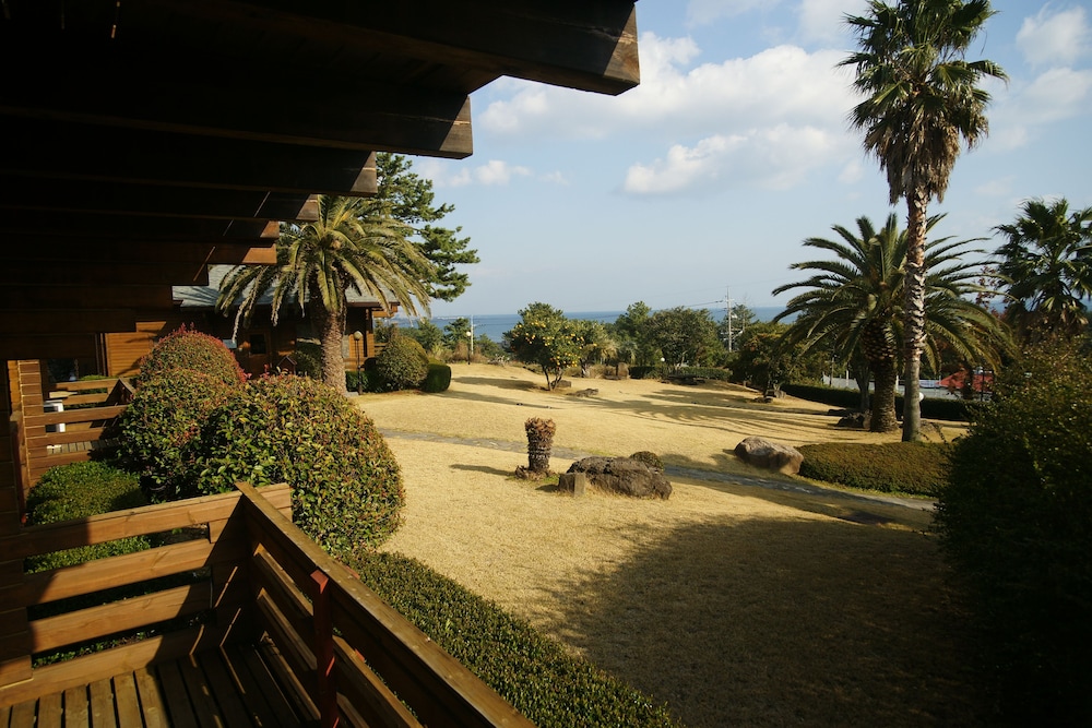 Sunnyday Jeju 41/49