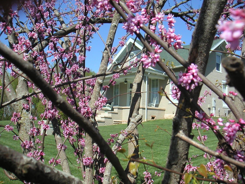 Wampler House 42/50