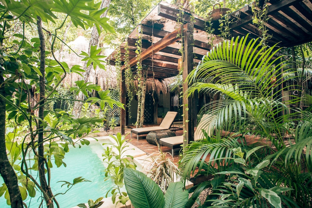 Orchid House Tulum 40/50