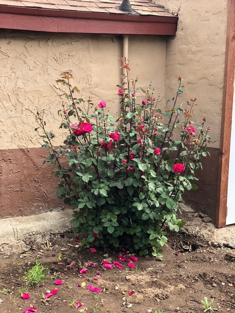 Haven Inn Of Chico 41/47