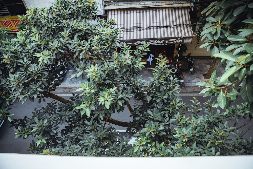 Hanoi City Backpackers Hostel 53/58