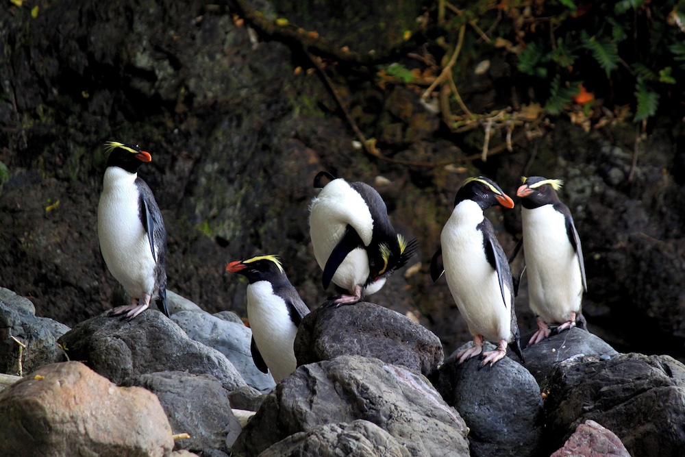 Lake Moeraki Wilderness Lodge 36/39