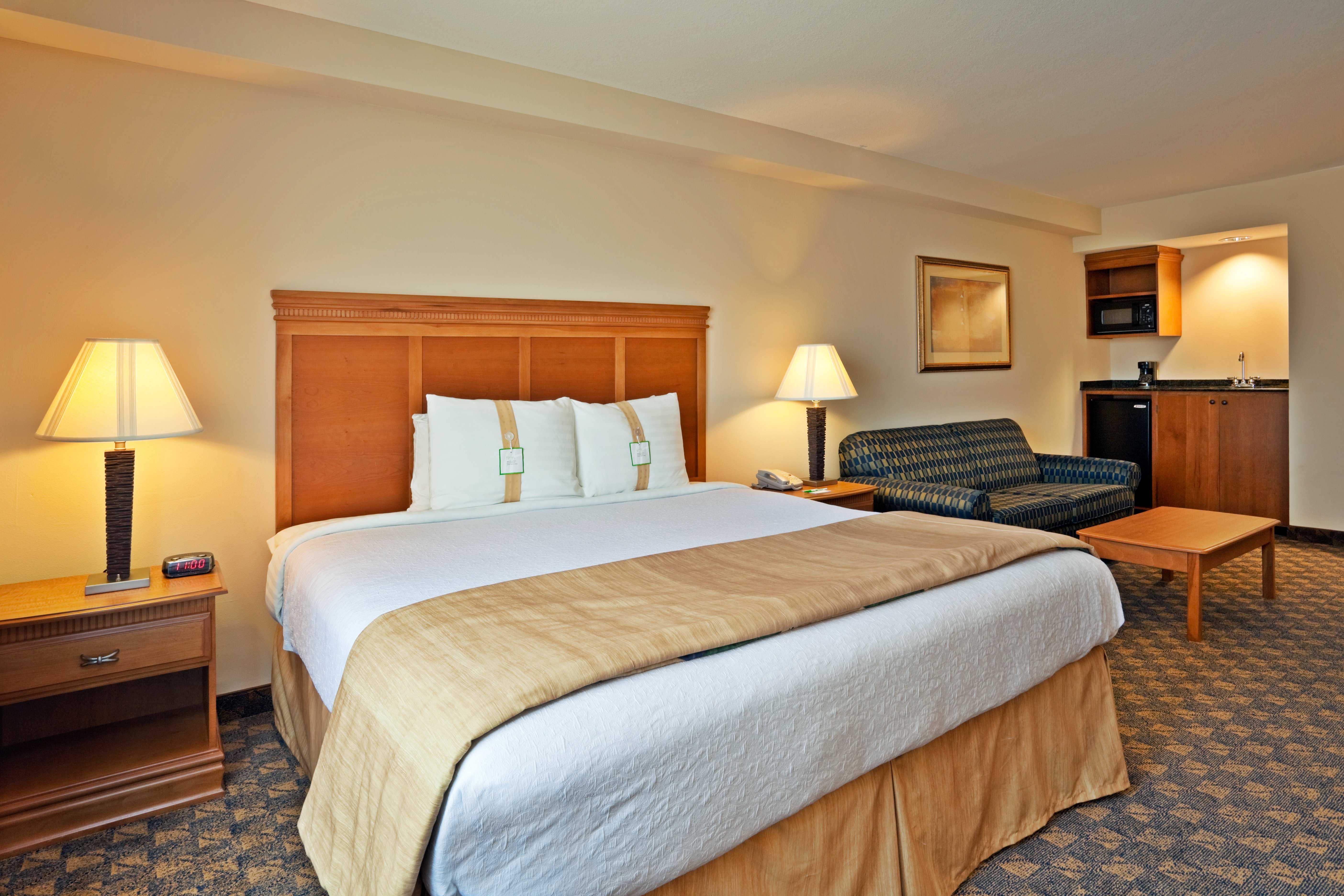 Holiday Inn Valdosta Conference Center 30/76