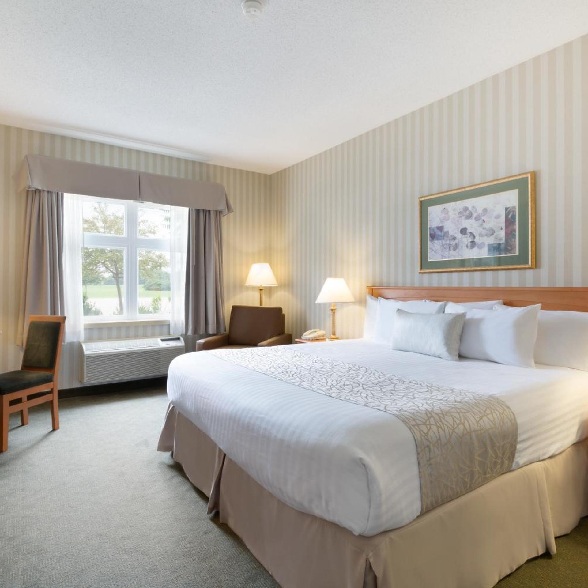 Suite, King Bed, Sofa