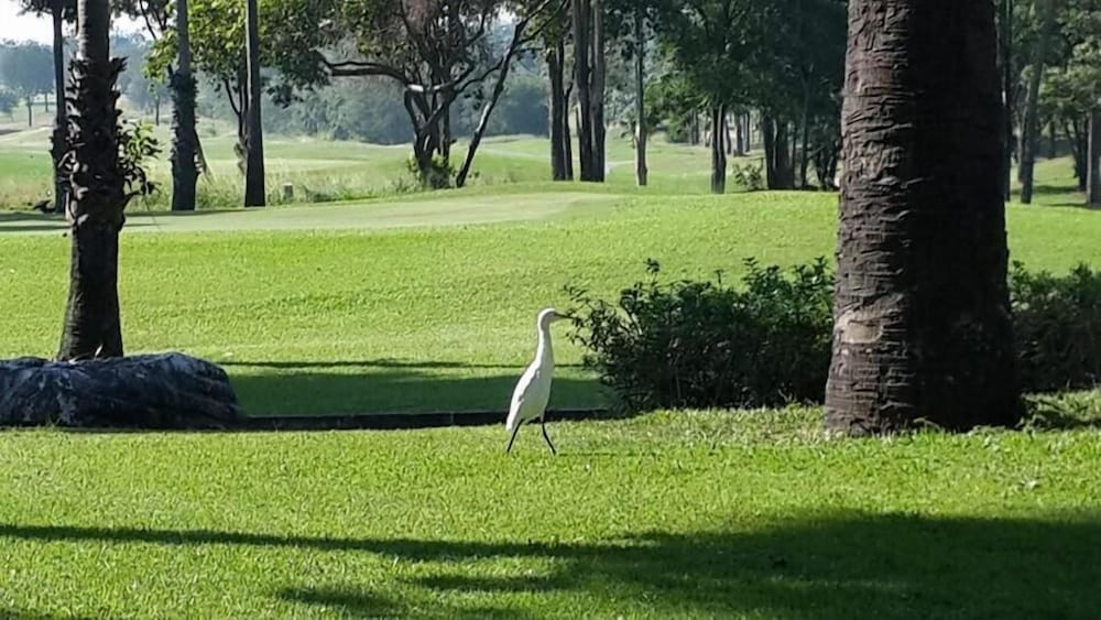 Imperial Lake View Hotel & Golf Club 11/48