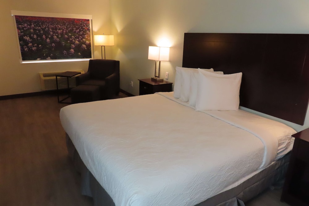 STANDARD, KING BED, ACCESSIBLE