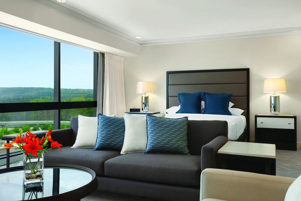 Hyatt Regency Birmingham-The Wynfrey Hotel 22/34