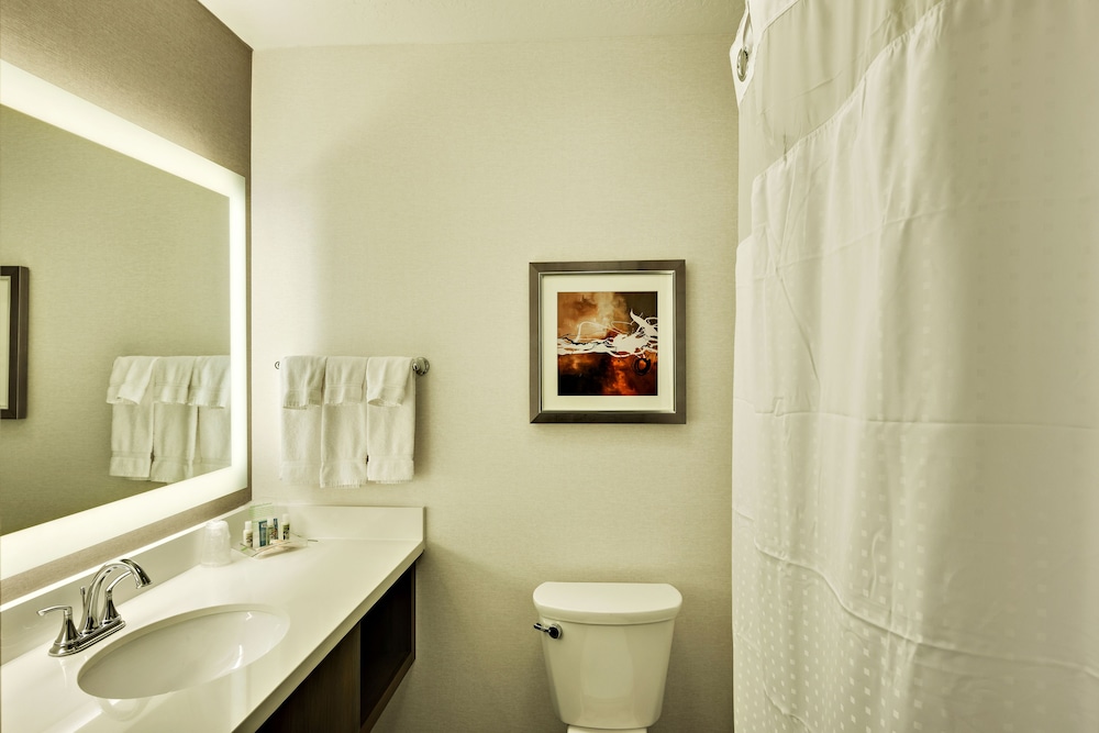 Holiday Inn St. George Conv Ctr 23/46