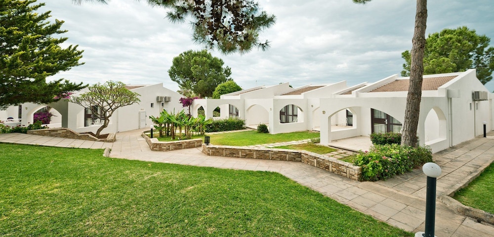 The Olive Tree Hotel 41/50