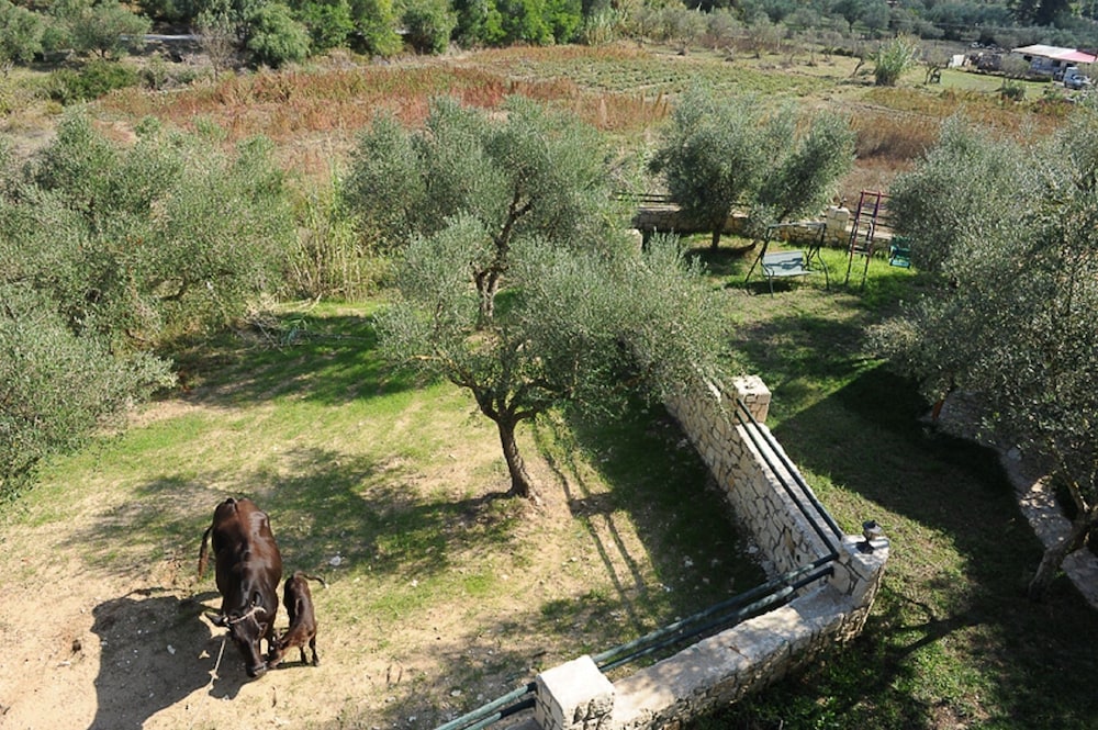 Ammos Villas 31/39