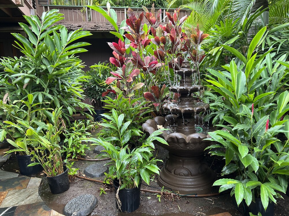 Maui What A Wonderful World B and B 69/76