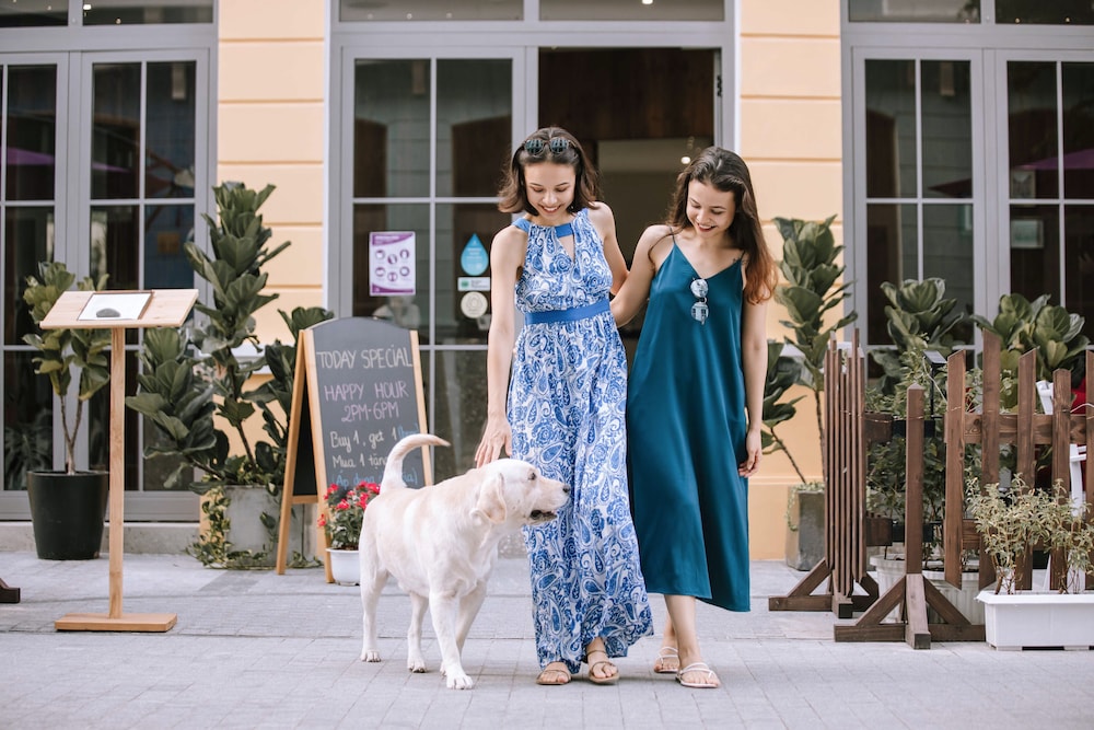 JM Boutique Hotel 8/50