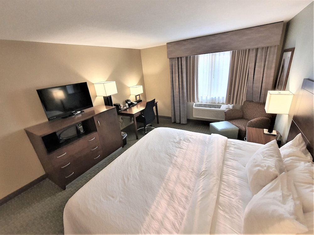 غرفة قياسية بسرير كينج، AmeriVu Inn and Suites - Chisago City 2/5