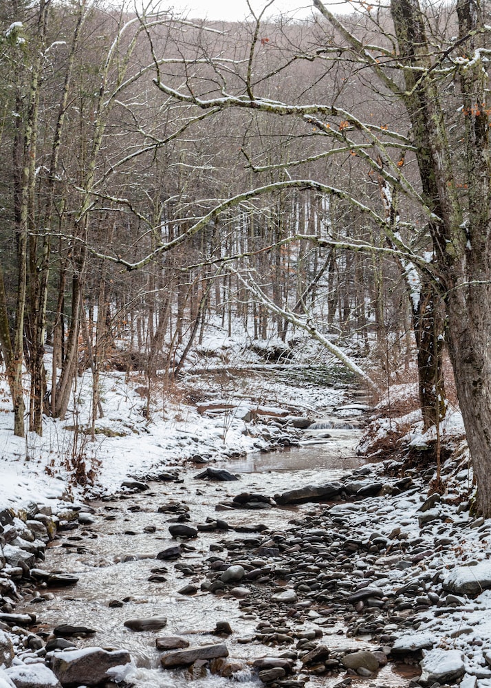 Urban Cowboy Lodge - Catskills 55/60