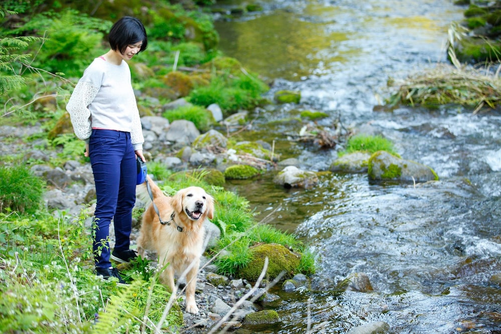 イズミゴ高山ドッグパラダイスホテル 写真3