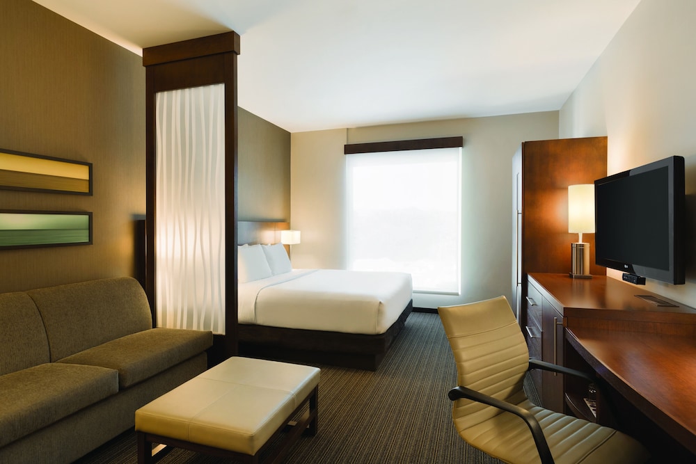 HYATT PLACE TIJUANA 13/40