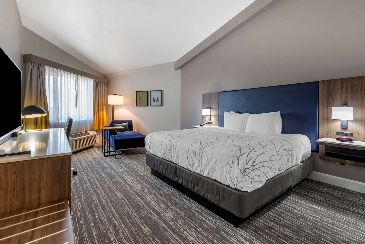 Room, King Bed