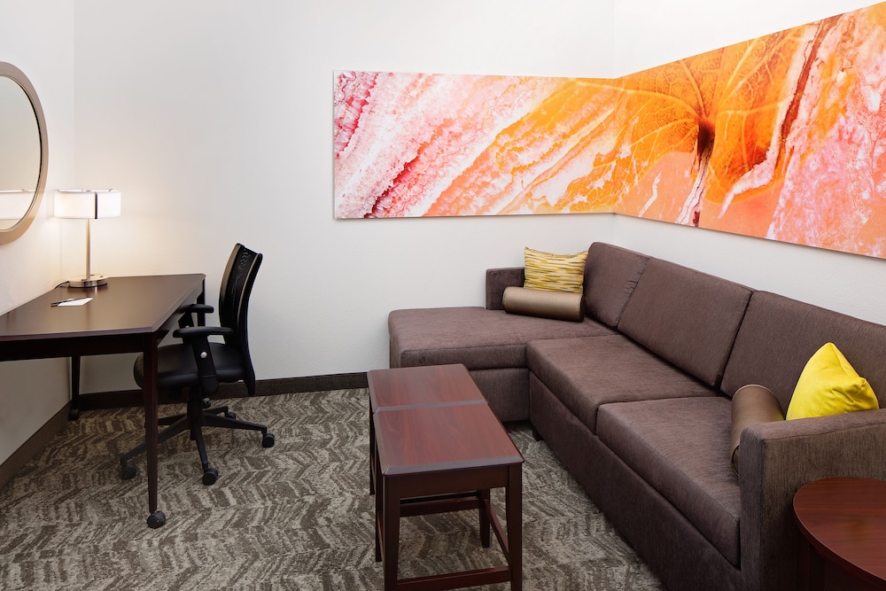 SpringHill Suites by Marriott Ardmore 21/39