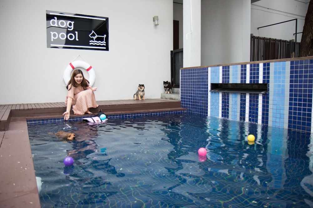 Ketawa Pet Friendly Hotel and Cafe (ex Ketawa Stylish Hotel) 18/43