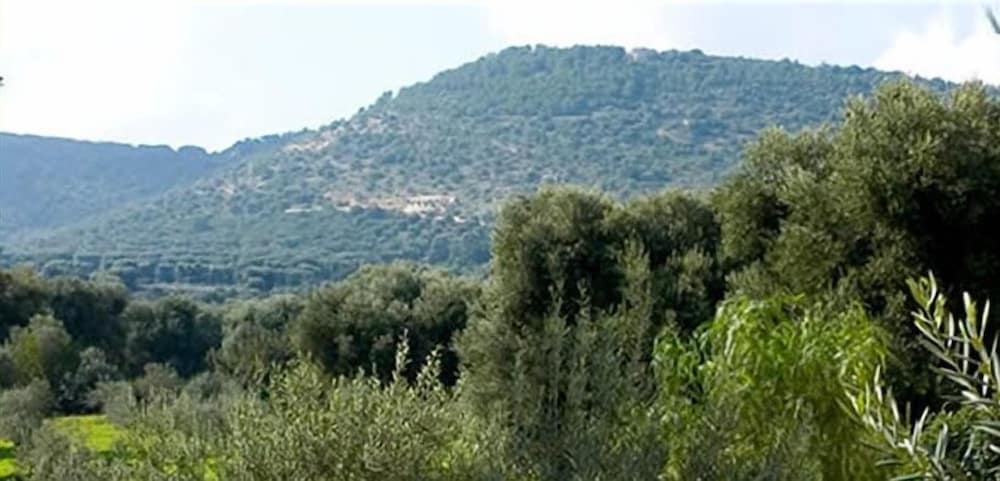 L'antico Trullo 39/47