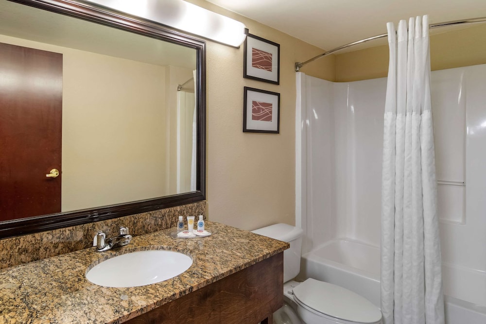 Comfort Inn Suites Suwanee Sugarloaf 13/36