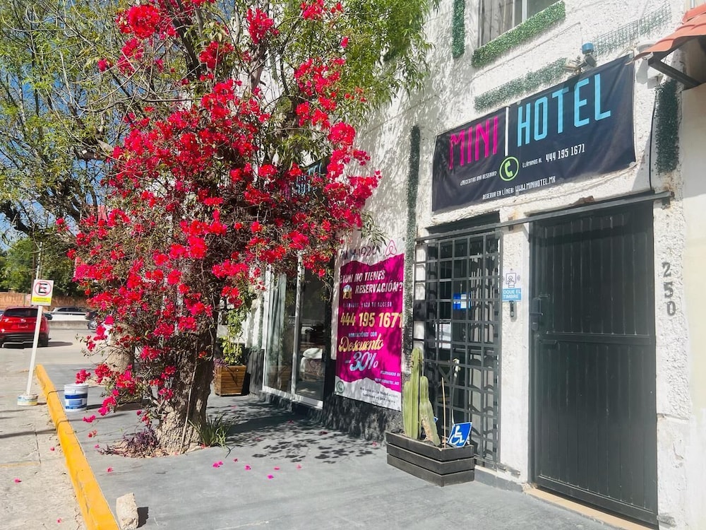 Suites Ejecutivas KenZi 61/67