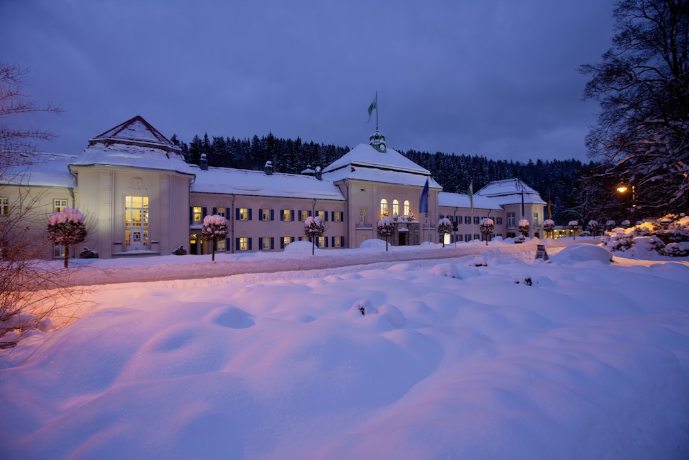 Hotel Konig Albert 45/50