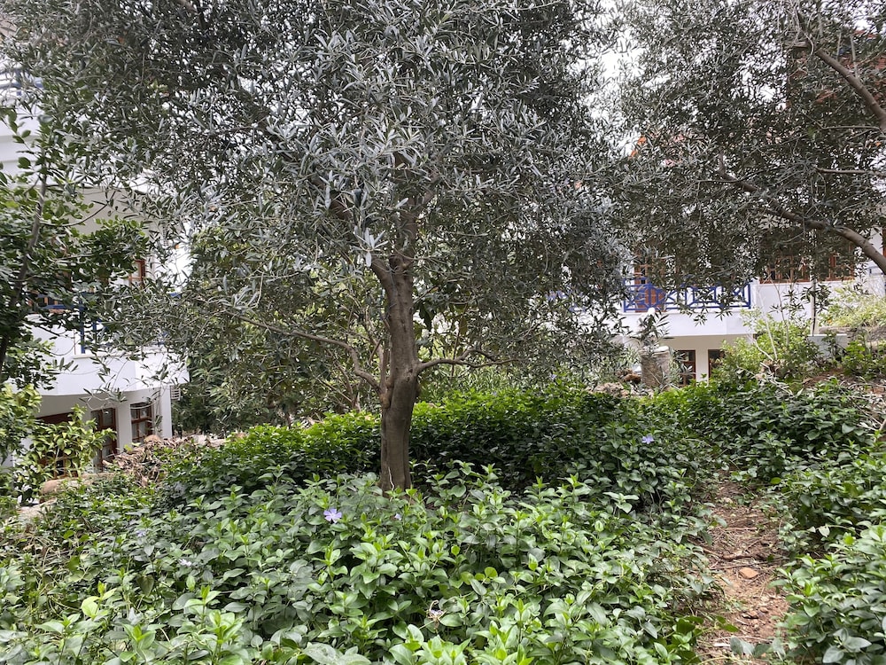 Naturella Hotel 79/82