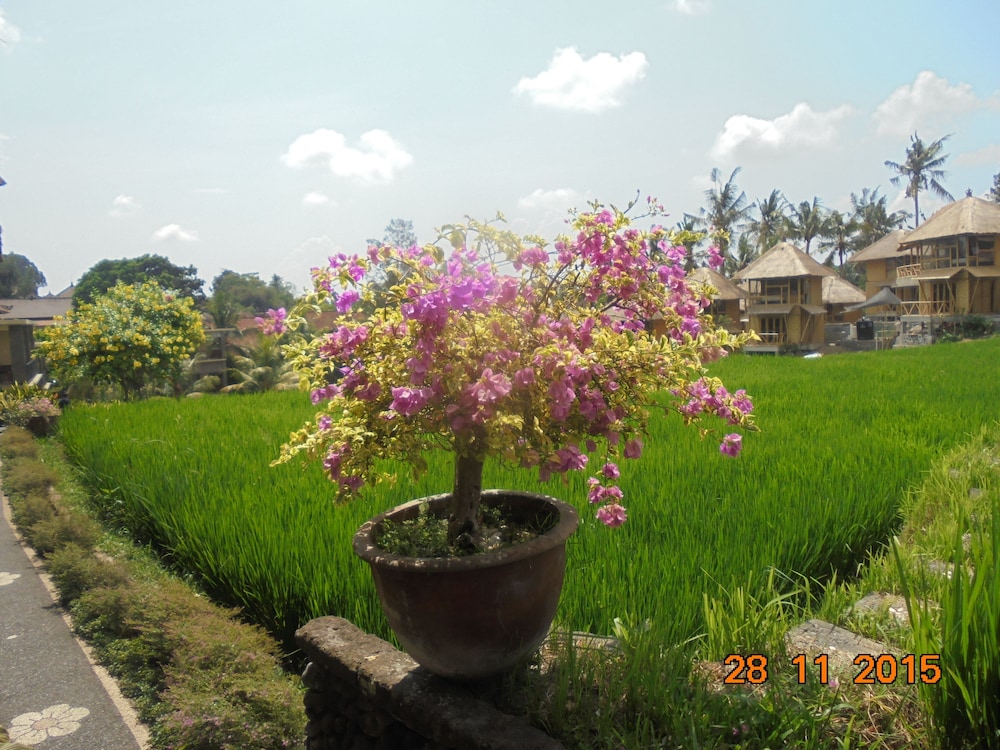 BIYUKUKUNG SUITES AND SPA 33/50