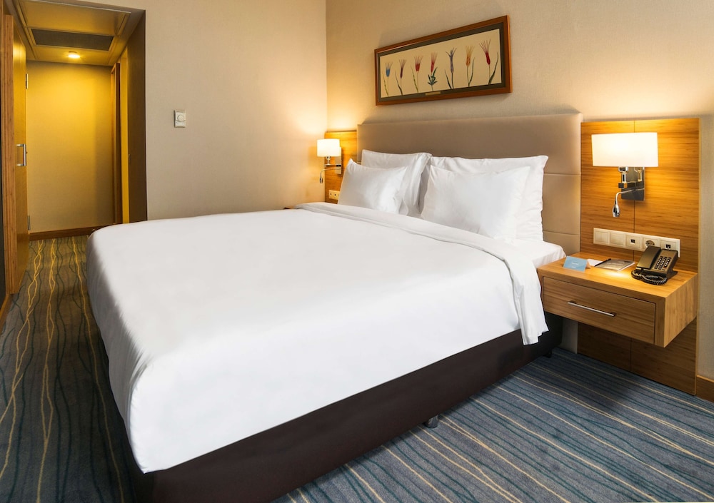Radisson Hotel President Old Town Istanbul 15/50