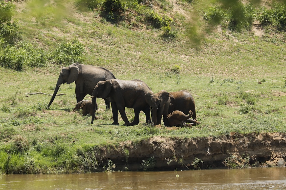 Kambaku River Lodge 48/50