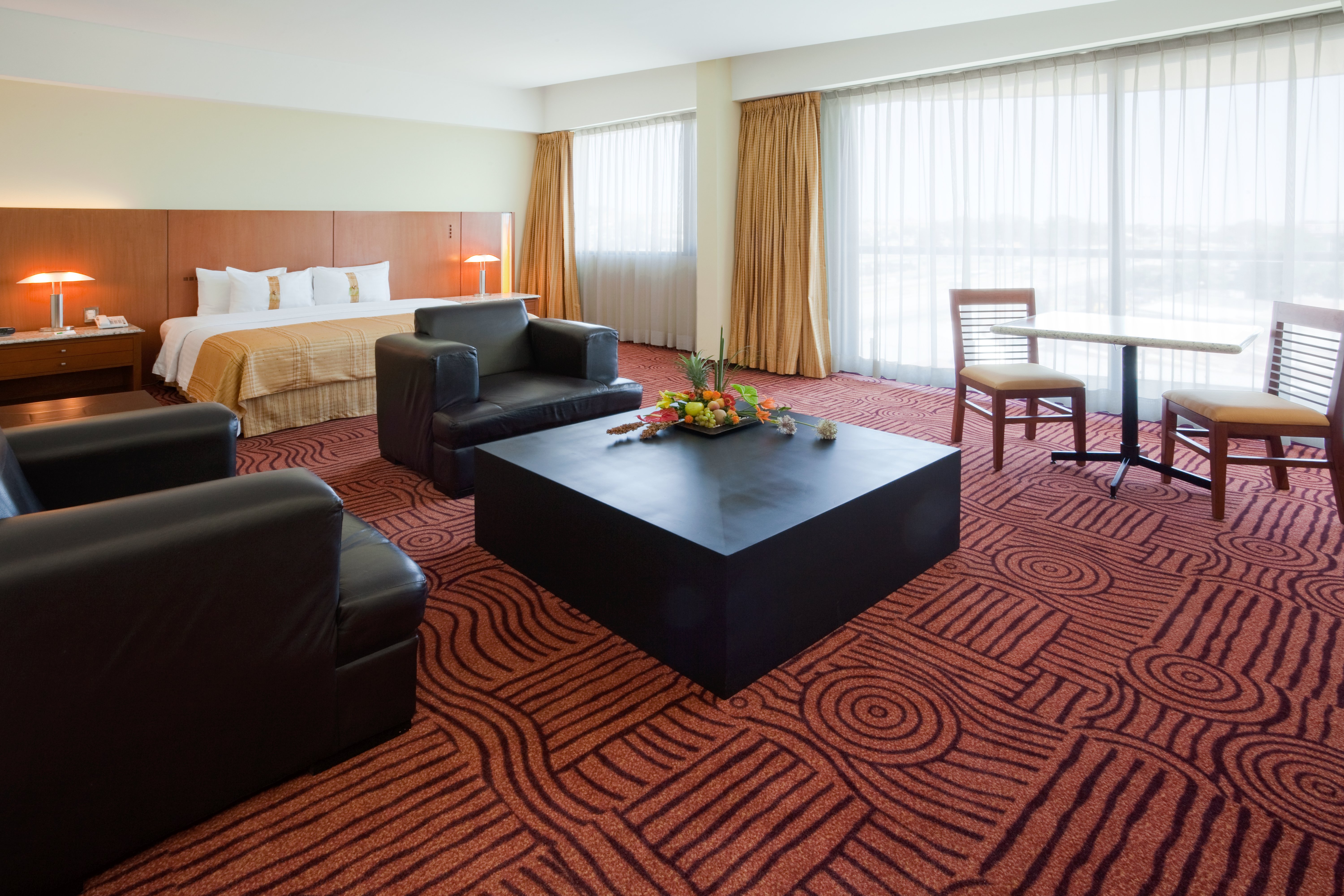 Holiday Inn Puebla Finsa 32/50