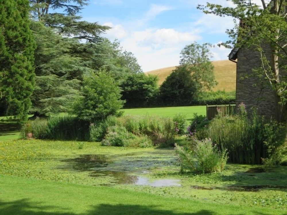 Cwrt Bleddyn Hotel & Spa 37/42