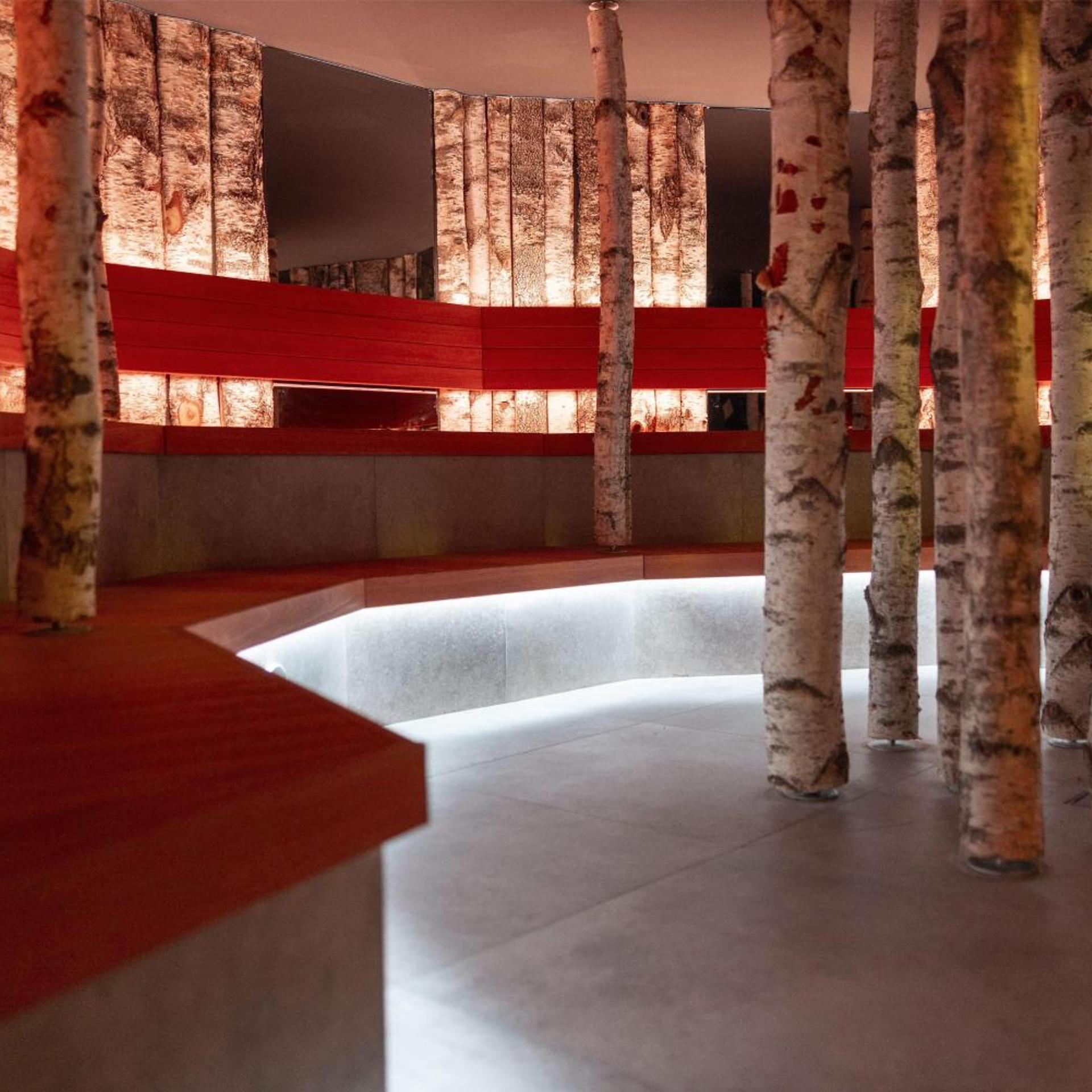 Radisson Blu Hotel, Bergamo ChorusLife 25/50