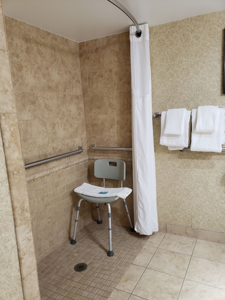 Holiday Inn Express Detroit-Birmingham 19/39