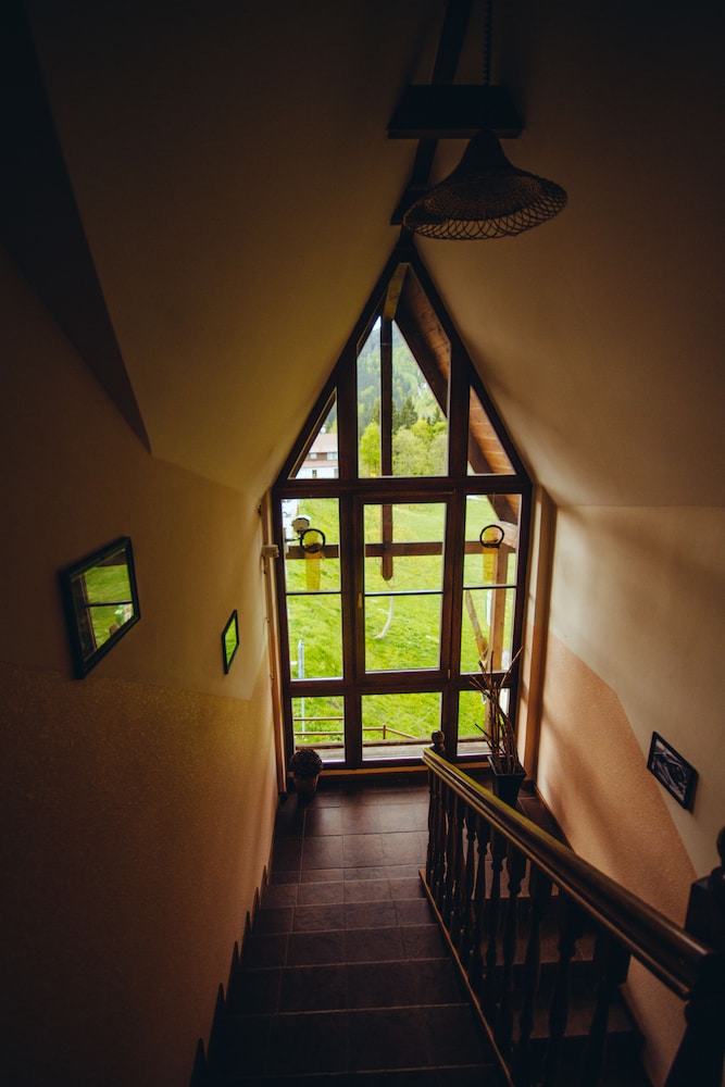 Pension Rotunda 25/50