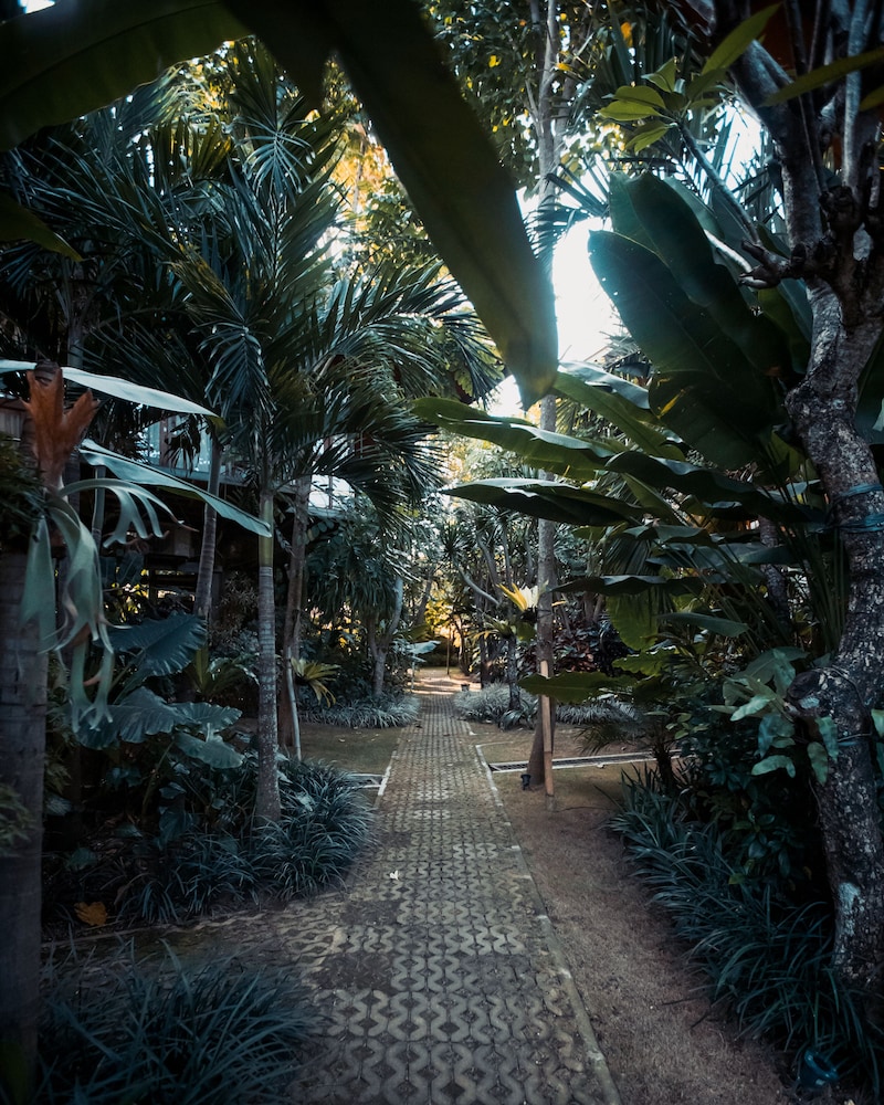 Grun Canggu Garden 43/50