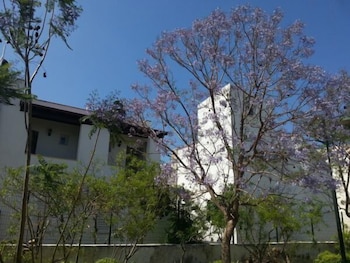Cotton Boutique Hotel 5/34