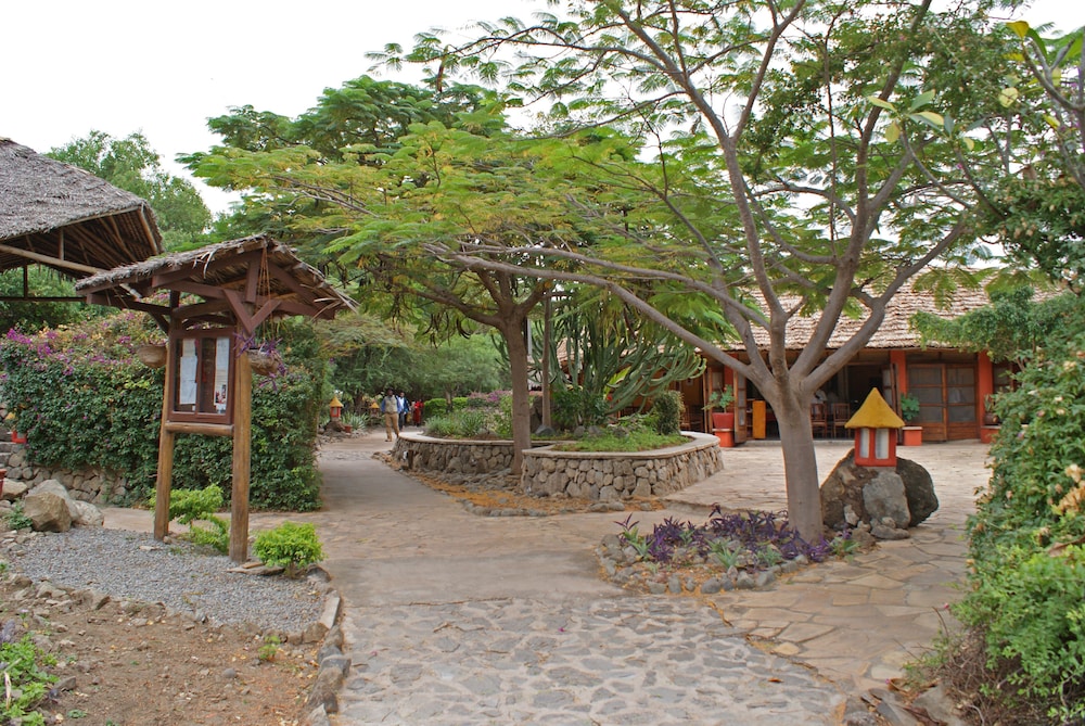Kia Lodge 13/71