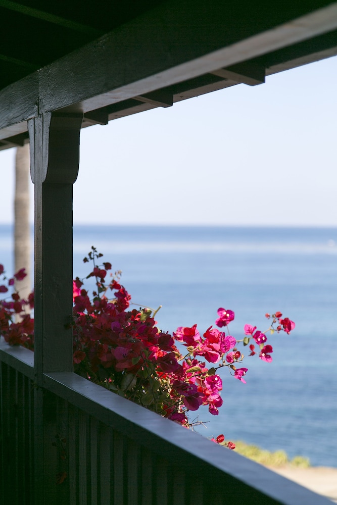 Scripps Inn La Jolla Cove 20/48