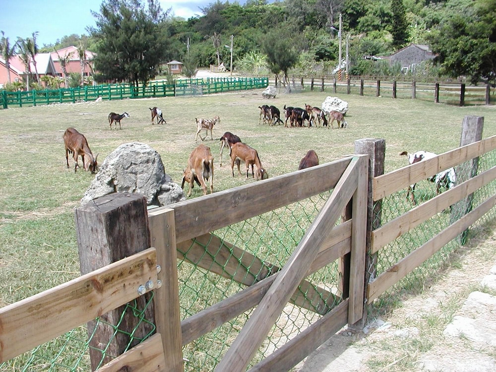 Tuscany Resort 48/50