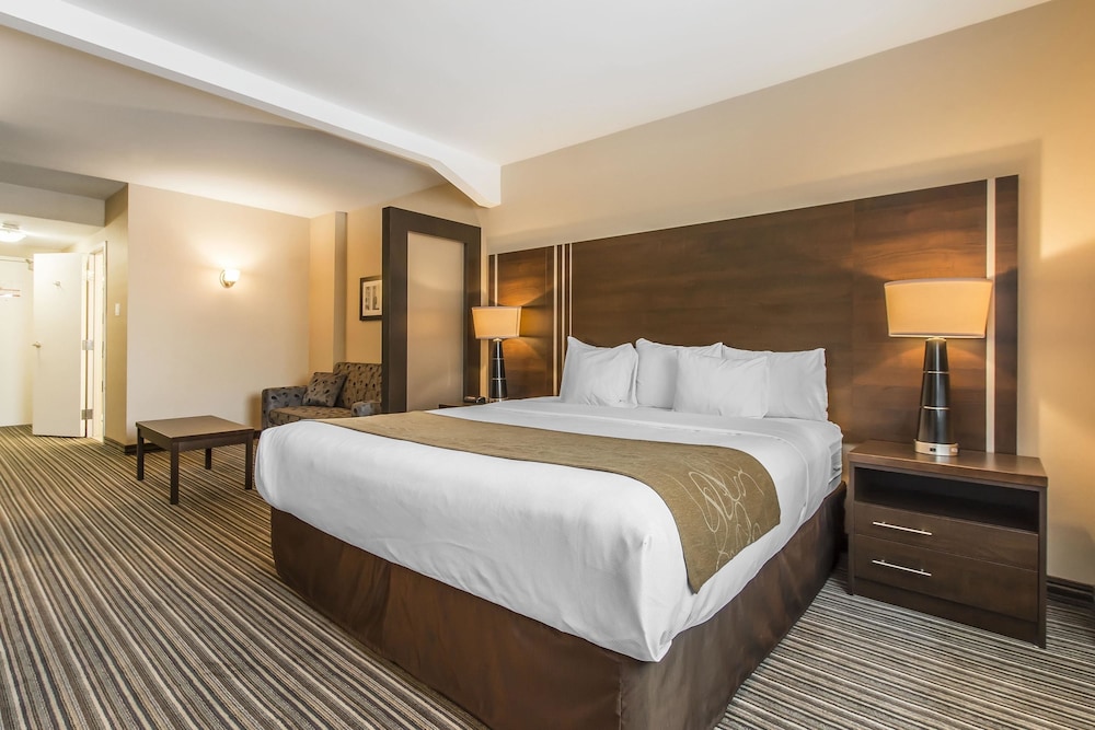 Suite, King Bed, Sofa