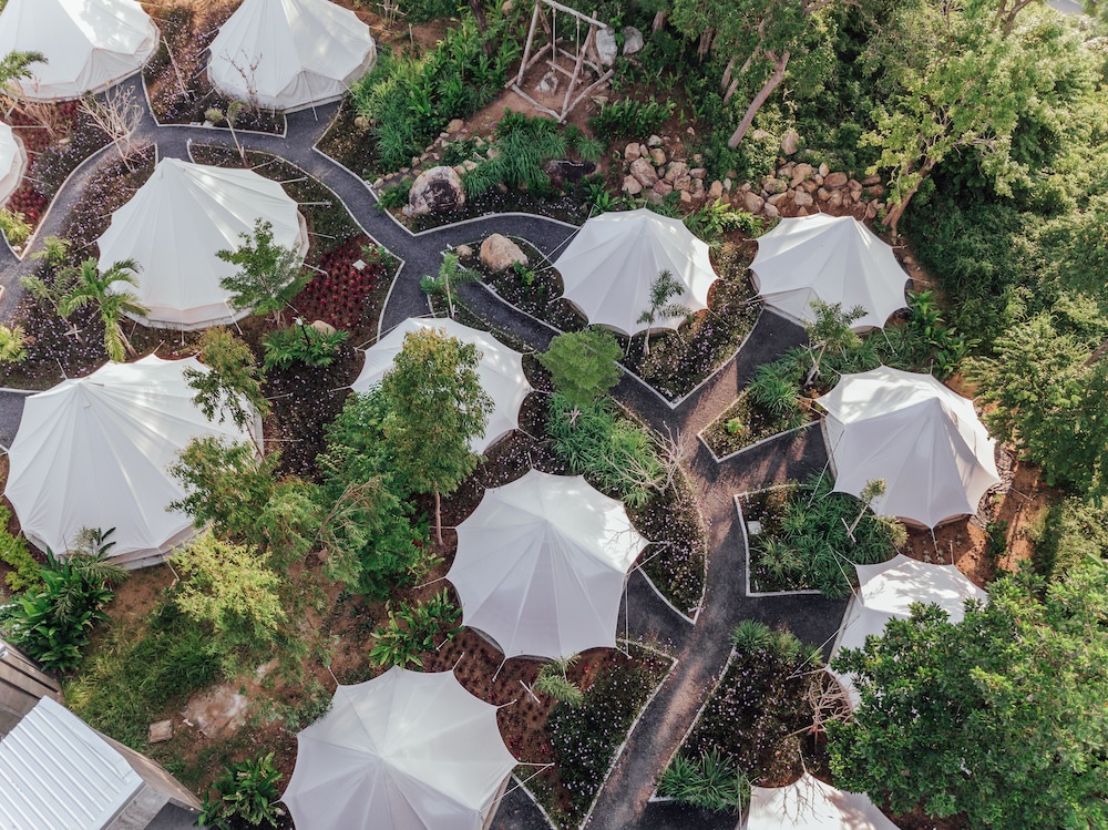 Roost Glamping 33/49