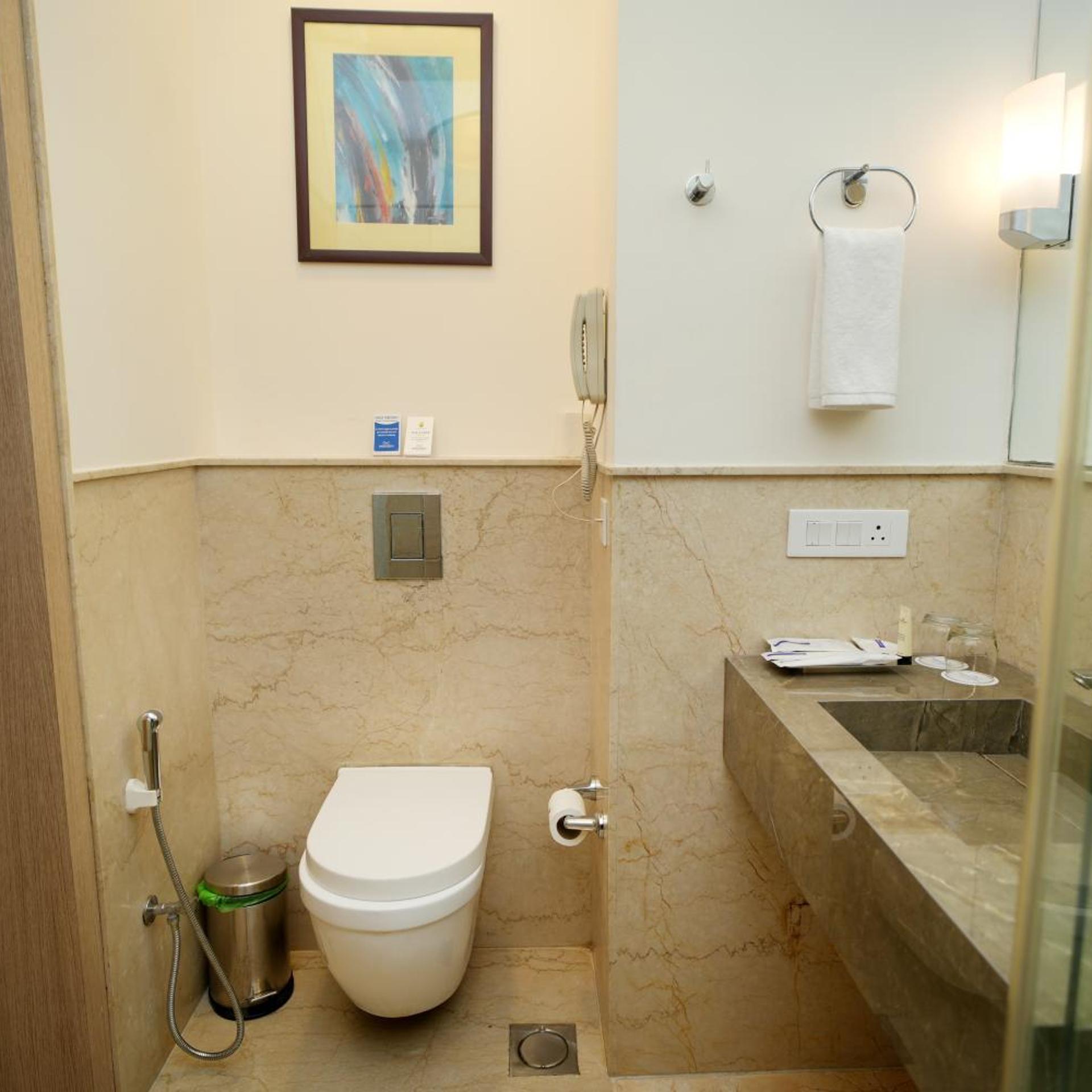 غرفة تنفيذية بسرير مزدوج، The Muse Sarovar Portico, Nehru Place 9/10