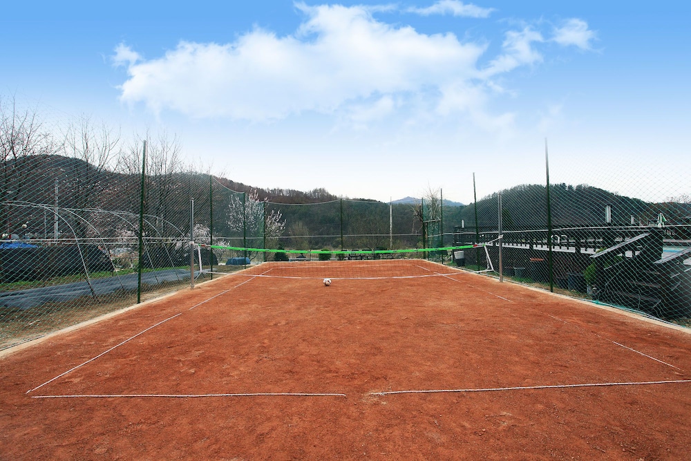 Forest Of Color Pension 21/50