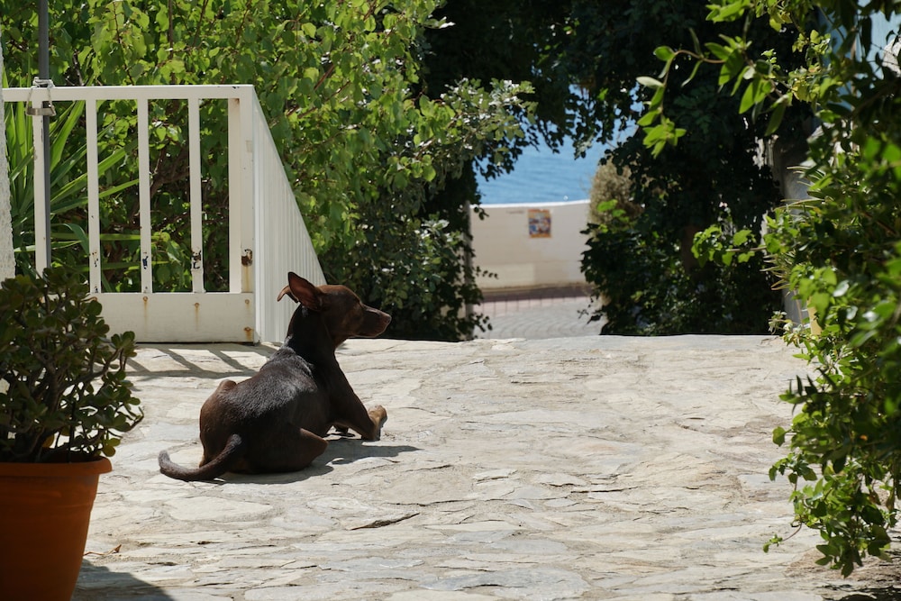 Galini Mare Hotel 29/39